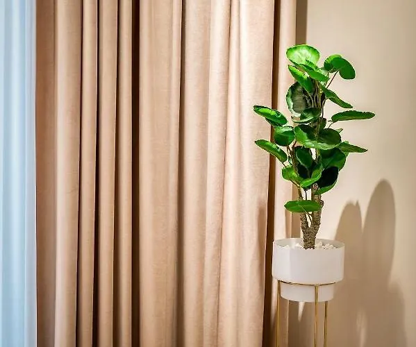 Zafi Lakeview Daire *